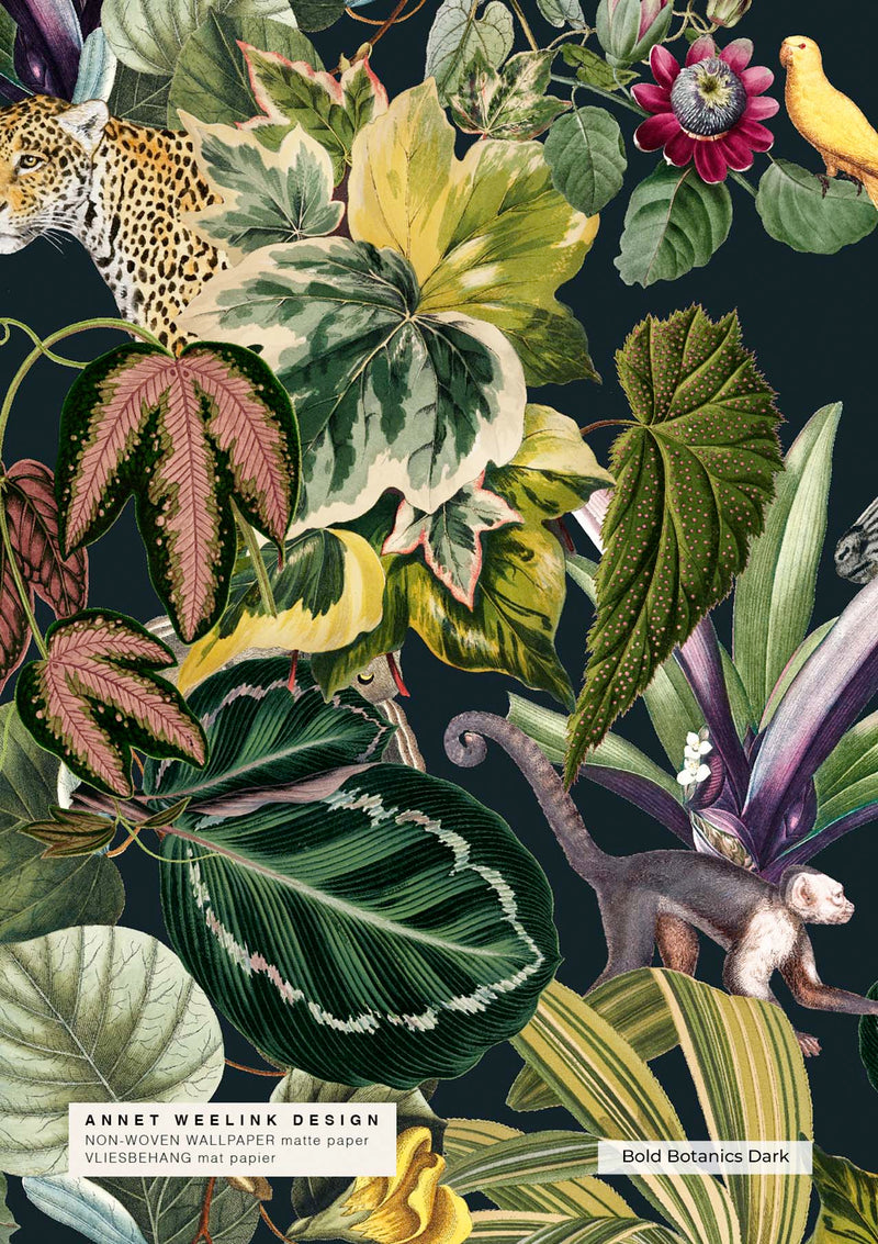 Jungle Wallpaper - BOLD BOTANICS